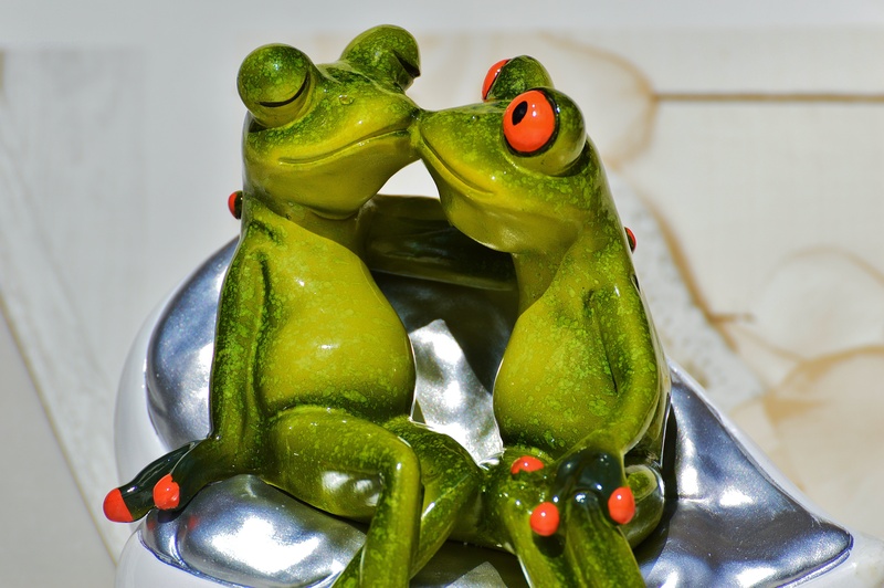 love, smooch, frogs, together, sit, loyalty, pepper, tenderness, 5K, cute, indoors, combines, container, funny, romance, animal, wellbeing, emotion, vegetable
