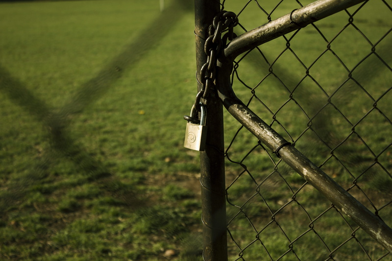 exclusion, toy, barrier, focus on foreground, green color, field, outdoors, animal, no people, metal, boundary, lock, plant, harness, ground, nature, land