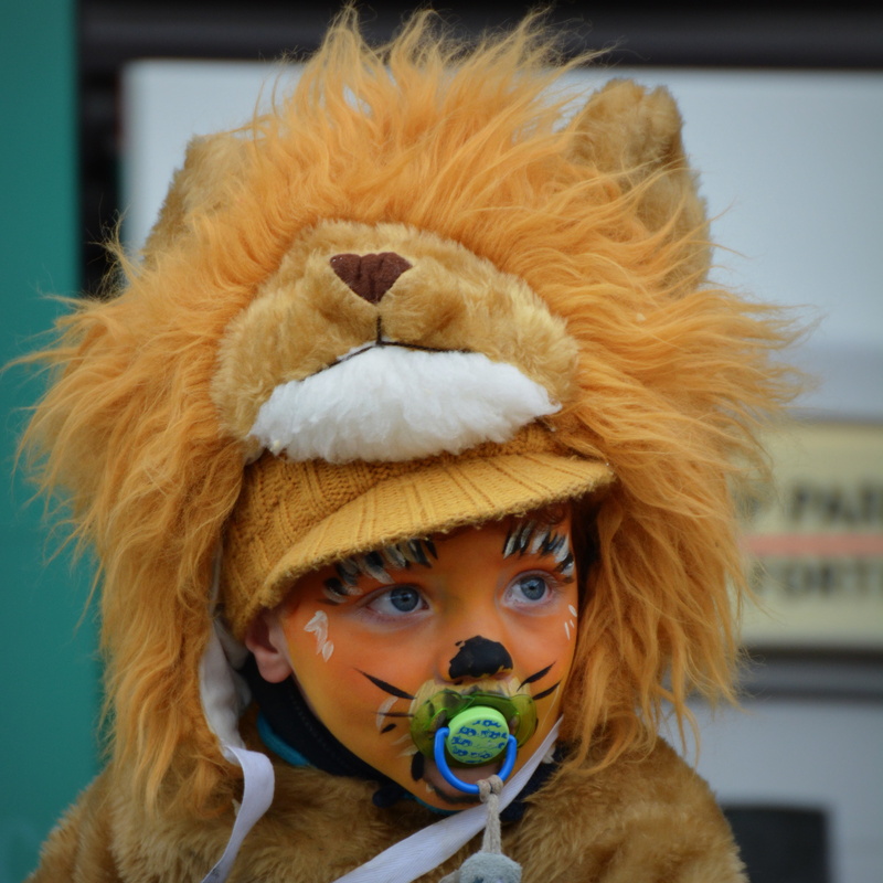 indoors, clothing, looking at camera, dress up, close-up, innocence, childhood, face paint, front view, portrait, cute, photography, people, carnival, one person