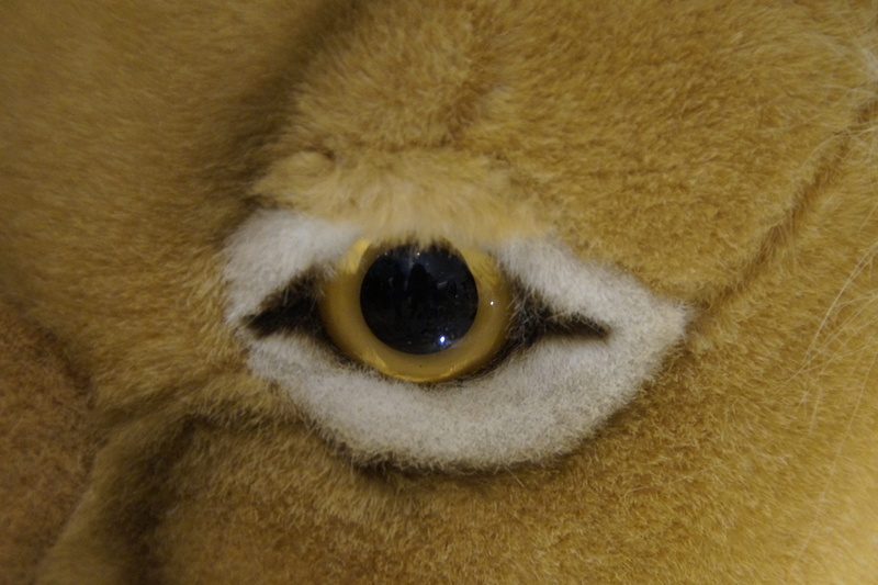 teddy bear, children, child, body part, close-up, eyesight, one animal, Eye, good, no people, stuffed animal, mammal, vertebrate, animal, 5K, looking at camera