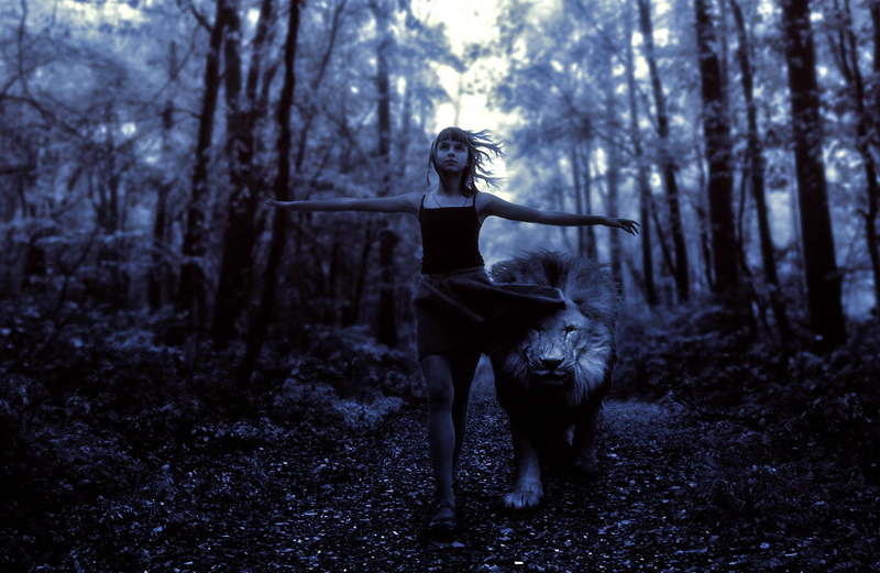 Girl, pets, 720P, Child, Lion, day, mammal, dog, Photography, vertebrate, one animal, full length, domestic, land, tree, standing, real people, canine