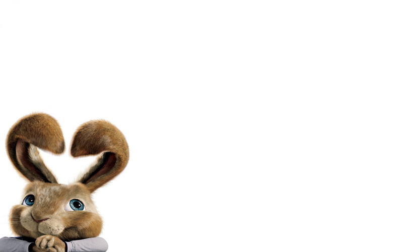 baby Rabbit, hop, animal wildlife, close-up, animal themes, brown, happy, young Animal, animal representation, animal Ear, copy Space, animal body part