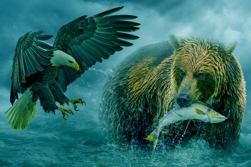 group of animals, no people, sea, animal wildlife, ocean, nature, fish, manipulation, fishing, day, motion, splashing, sky, flying, animal, outdoors, mid-air