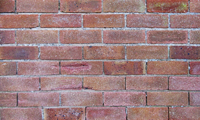 construction material, veins, brick wall, backgrounds, built structure, plant, brick, red, close-up, jam, brickwork, wall - building feature, day, flagstone