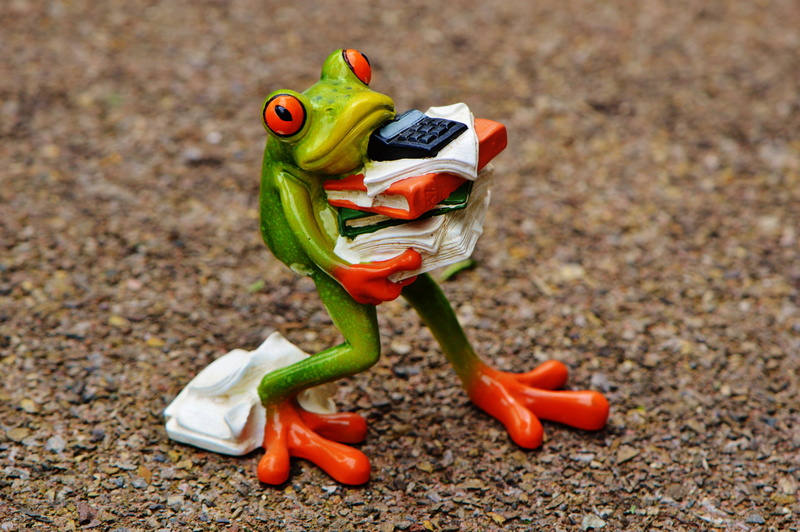 transportation, land, frog, cute, representation, sport, sweet, animal themes, files, stress, pepper, office, toy car, carrying, animal, stack, fun, red