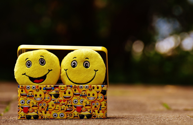 toys, feeling, smiley, emotions, 5K, no people, close-up, face, emoji, luck, animal themes, happy, joy, smile, cheeky, good mood, animal, animal representation
