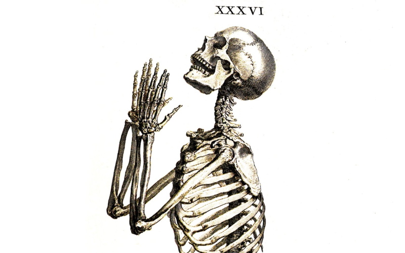 cut out, still life, creativity, no people, close-up, 720P, Praying, text, representation, music, bone, indoors, copy space, art and craft, Skeletons