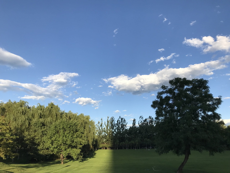 tranquil scene, nature, land, field, tranquility, china, plant, idyllic, outdoors, wangjing, no people, cloud - sky, sky, scenics - nature, 4K, landscape