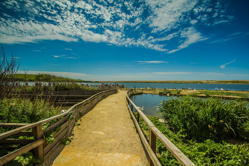 abbotsbury swannery, environment, priroda, grass, country, path, 5K, of the sea, footpath, scenics - nature, landscape, tranquility, direction, no people