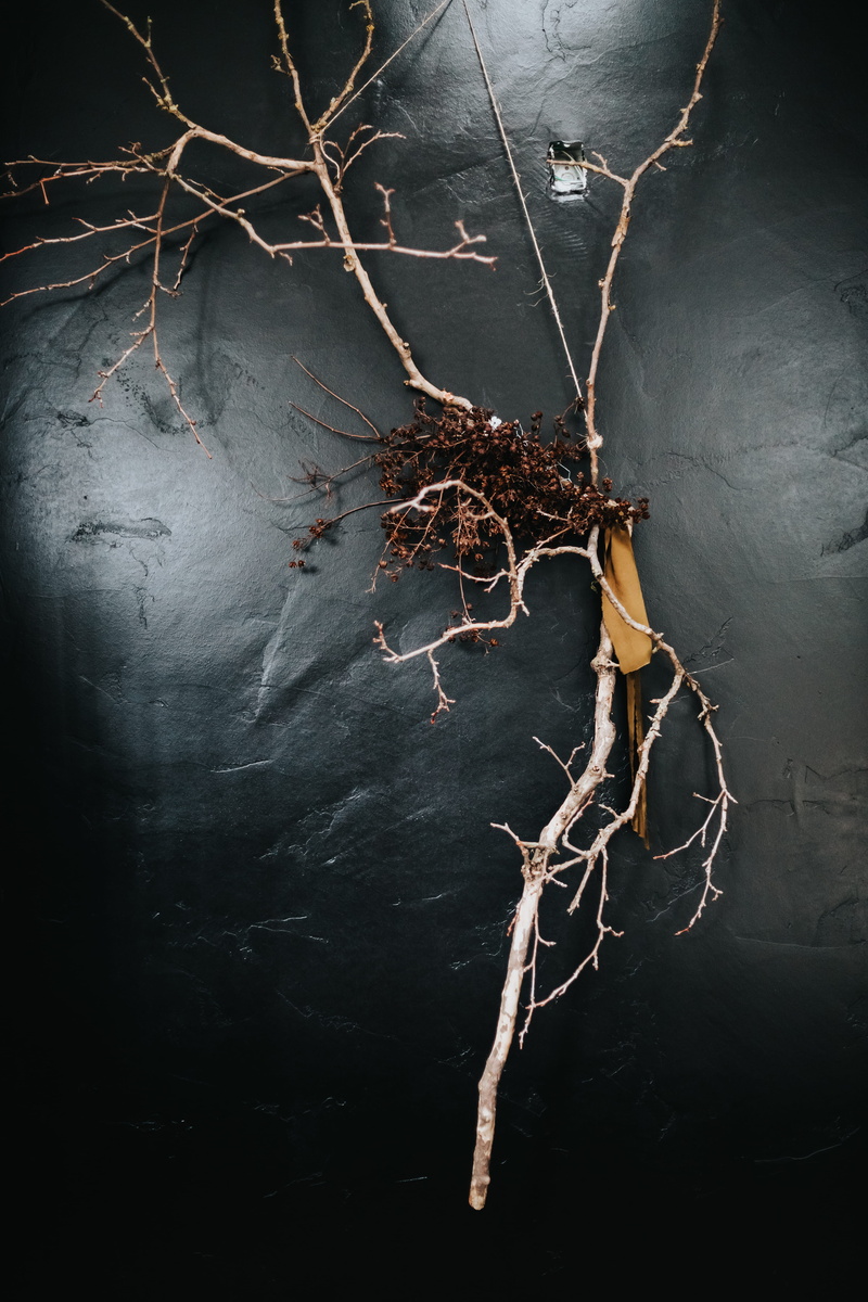 focus on foreground, black, background, day, leaf, dry, earthy, dead plant, earth, no people, branch, white, wall - building feature, auburn