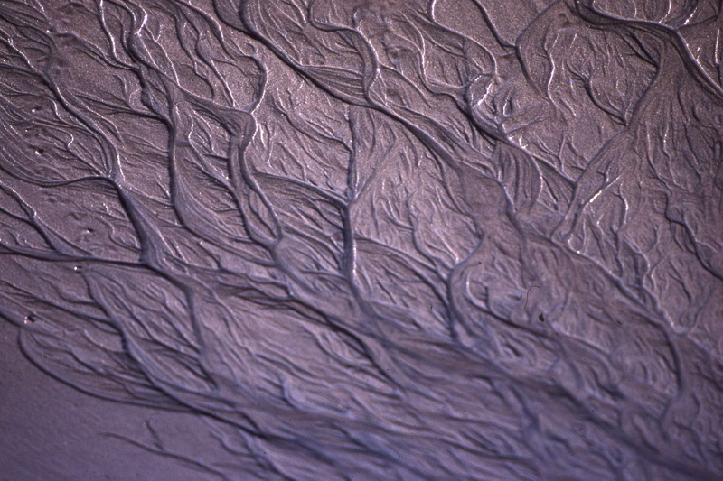 beach, no people, branching, curves, crumpled paper, mauve, indoors, lavender, gray, texture, purple, crumpled, nature, leather, wrinkled, background, violet