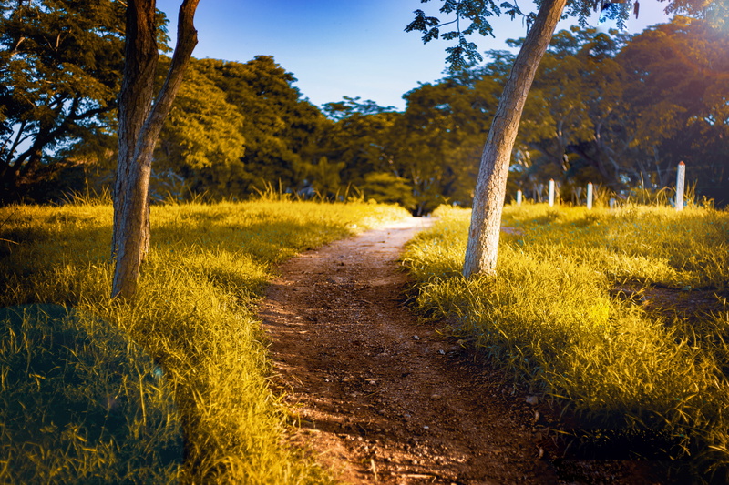 ciénaga de oro, environment, 4K, senderos, sky, road, landscape, scenics - nature, no people, colombia, yellow, dirt, footpath, land, nature, walking trails