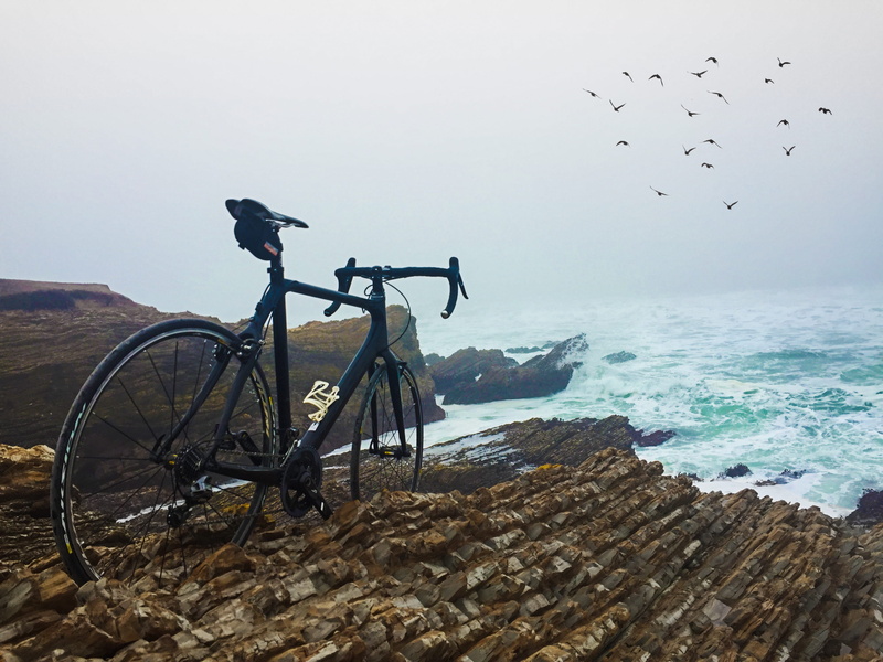 ocean, no people, mode of transportation, animal themes, day, bike, large group of animals, bicycle, water, cliffs, animal wildlife, land vehicle, sky