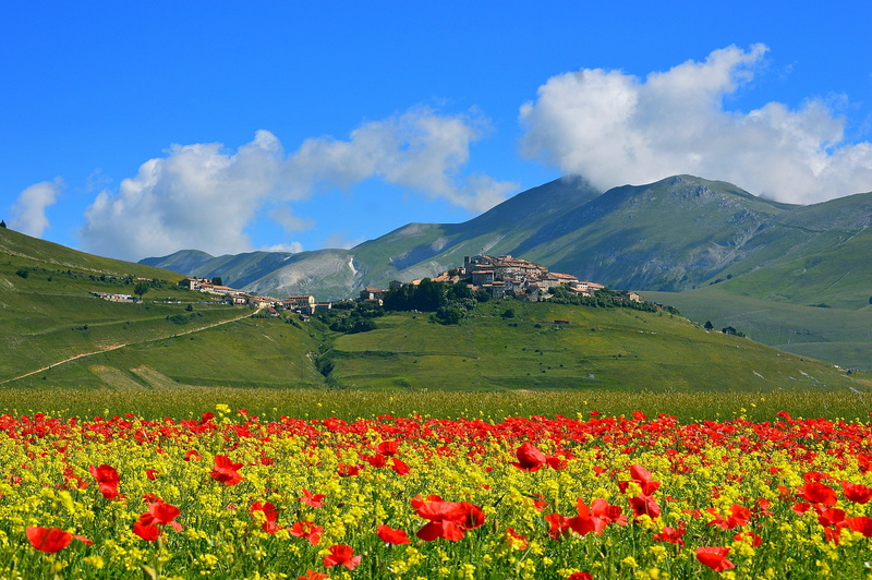 the village, Castelluccio di Norcia, Maki, 1080P, meadow, home, Italy, field, mountains, flowers