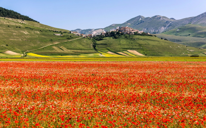 mountain, Italy, beauty in nature, mountain range, rural scene, idyllic, 1080P, field, meadow, non-urban scene, day, flowers, flowering plant, rolling landscape