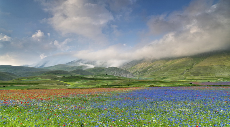 1080P, scenery, sky, clouds, grasslands, castelluccio, italy, mountains, nature, umbria