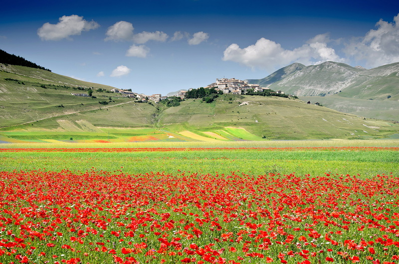 1080P, flowers, home, town, Castelluccio di Norcia, field, Italy, Maki, mountains, meadow