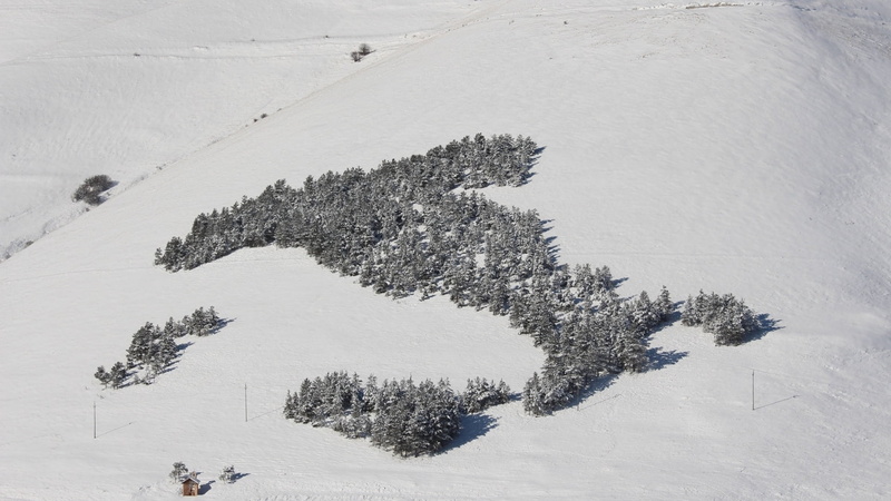 outdoors, plant, white, cold temperature, scenics - nature, snowcapped mountain, norcia, land, tree, pine woodland, blizzard, winter, woodland, frozen