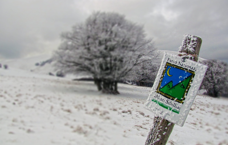 environment, no people, sky, 2K, communication, representation, castelluccio, land, outdoors, selective focus, text, cloud - sky, day, winter, snow, italy