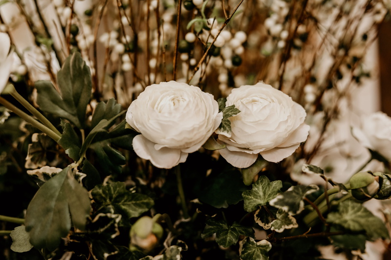 flower, plant part, leaf, blooming, greenery, selective, flowering plant, petaled, fragility, nature, petal, outdoors, beauty in nature, focus on foreground