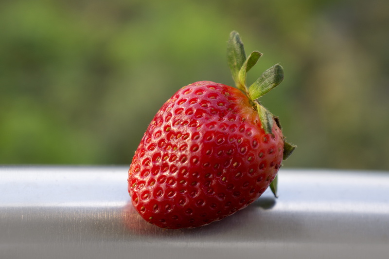 red, selective focus, healthy eating, day, strawberry, single object, freshness, dalat, close-up, wellbeing, nature, berry fruit, 4K, juicy, fruit, no people