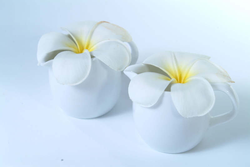 plant, Flowers, beauty in nature, frangipani, white, close-up, flower head, fragility, white flowers, hygiene, body care, food, purity, more information