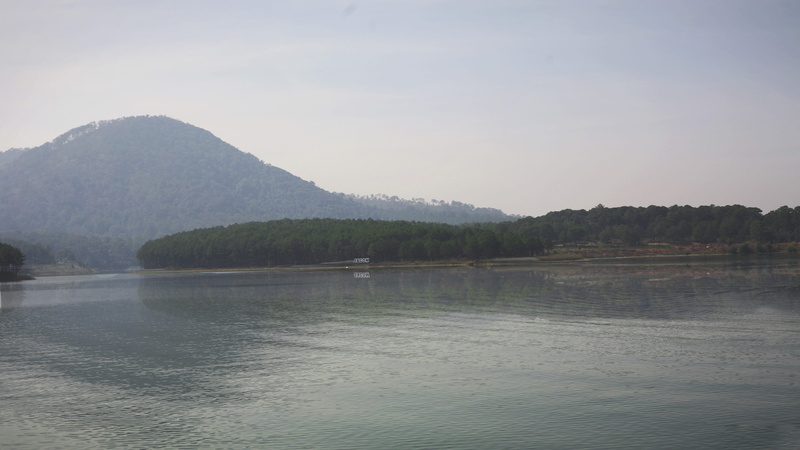 tree, day, vietnam, beauty in nature, no people, tranquil scene, land, tranquility, lake, scenics - nature, non-urban scene, plant, 4K, outdoors, nature