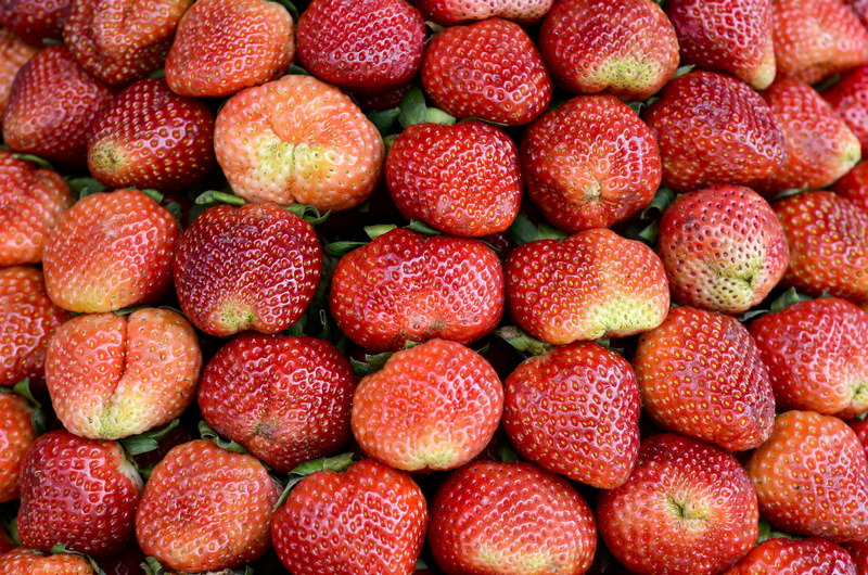 beautiful eyes, for sale, 4K, backgrounds, background, sweet, succulent, fruits, dalat, group of objects, berry fruit, strawberry, full frame, freshness