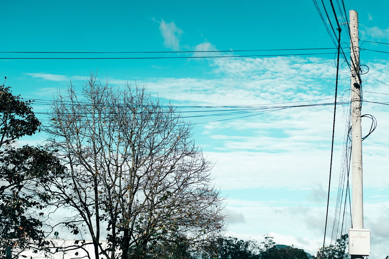 dalat, day, plant, no people, power supply, connection, telephone line, electricity pylon, cable, blue, vietnam, cloud - sky, outdoors, complexity, nature