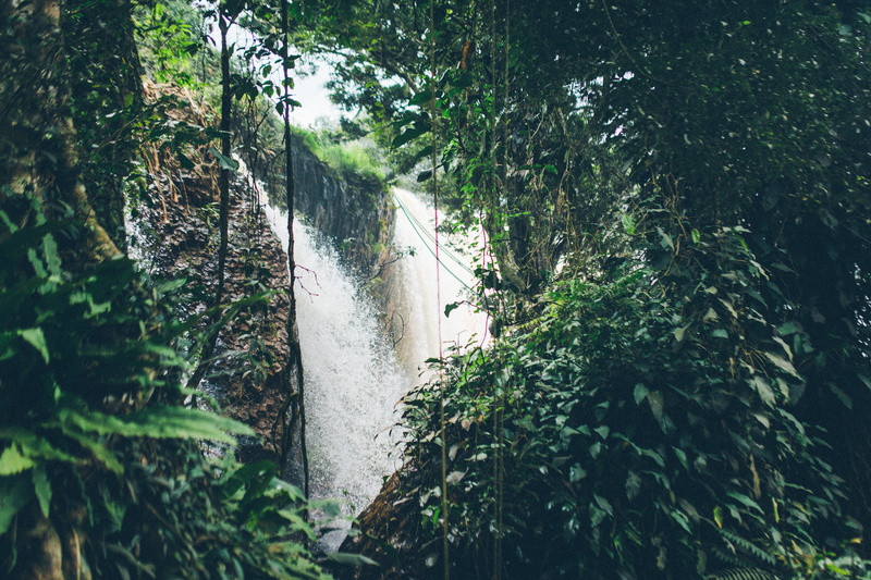 forest, vietnam, tranquil scene, travek, waterfall, jungle, day, tree, flowing, bamboo - plant, footpath, plant, scenics - nature, beauty in nature, dalat