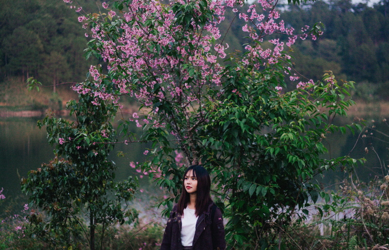 beauty, 4K, hairstyle, young women, girl, day, adult, leisure activity, nature, one person, beautiful woman, trees, dalat, women, front view, plant, standing
