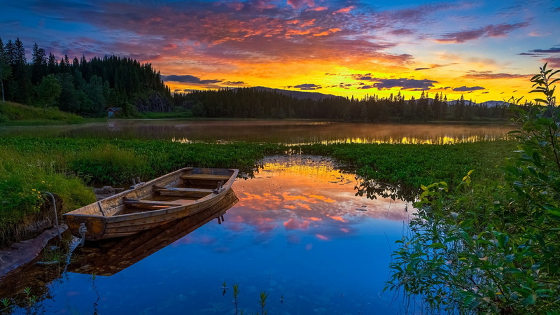 cloud - sky, reflection, tree, sky, lake, outdoors, sunrise, 1080P, bank, nature, nautical vessel, tranquility, beauty, boat, orange color, dawn, idyllic