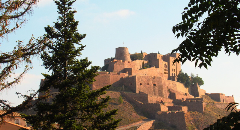 salt mountain, travel, history, building exterior, ancient, fortress, tree, building, cardona, castle, parador, nature, romanesque, day, travel destinations