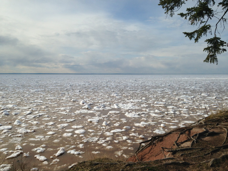 wilderness, spring, plant, landscape, tranquility, Shore, horizon, sea, lake, land, driftwood, beach, wisconsin, Lake Superior, day, Water, scene, horizon over water