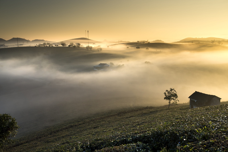 the hill, 5K, background, vietnam, the countryside, photo, the morning, daytime, wooden, curve, beauty in nature, national, nice, beauty, scenery, sơnla