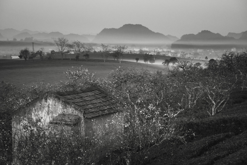 rice field, built structure, scenics - nature, growth, high angle view, sky, province, moc chau, the hill, mountain, nice, scenery, tree, farm, field, plant