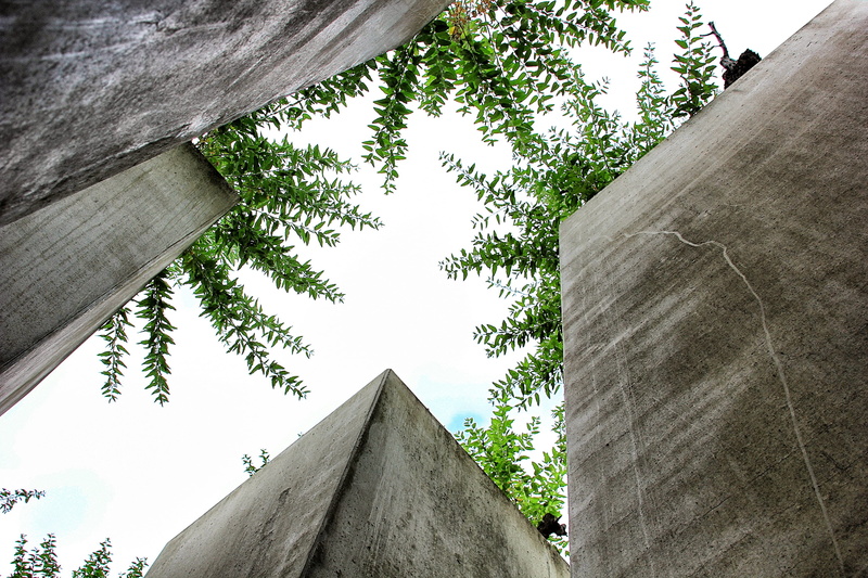 connection, low angle view, concrete, musée, directly below, nature, 2K, sky, building exterior, no people, day, plant, outdoors, tree trunk, architecture
