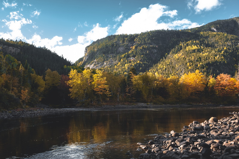 nature, tranquility, idyllic, 5K, flowing water, river, wilderness, change, tree, abies, beauty in nature, outdoors, landscape, fir, water, waterfront