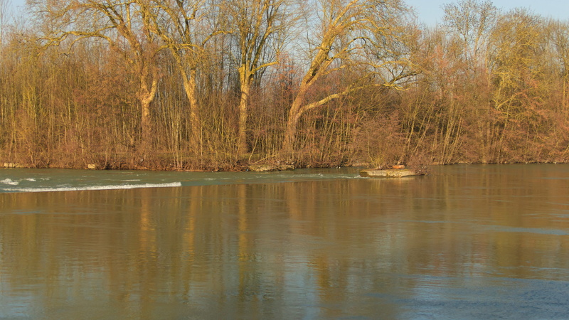 tranquility, non-urban scene, river, day, tranquil scene, reflection, noisiel, nautical vessel, tree, forest, beauty in nature, no people, waterfront, rivière