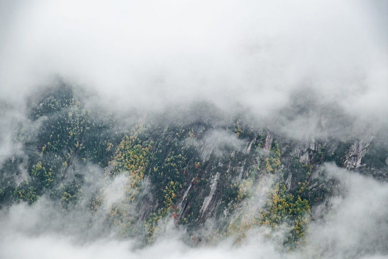 environment, cloudy, tree, photography, cloudscape, parc national des hautes-gorges-de-la-rivière-malbaie, no people, outdoors, high angle view, tranquility