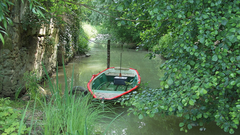 tree, forest, 6 route de noisiel, france, no people, 5K, outdoors, canot, mode of transportation, nautical vessel, green color, boat, moored, water, day