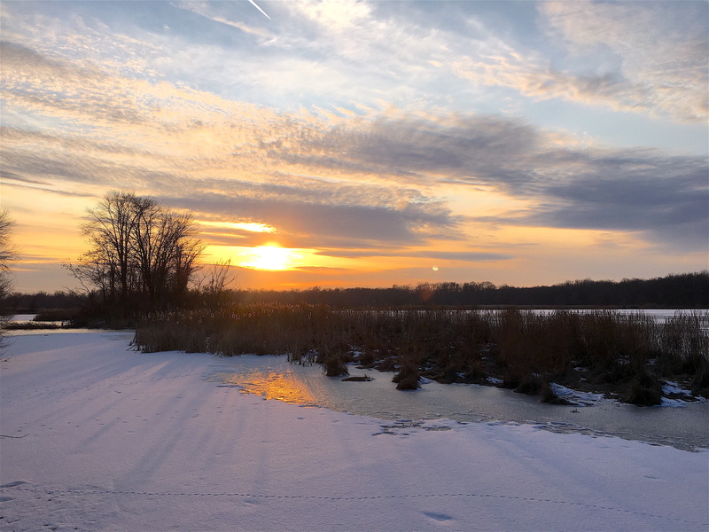 water, reeds, sunshine, frozen, cold, snow, winter, color, golden, non-urban scene, orange, skyline, lake snow, scenics - nature, colorful, evening, twilight