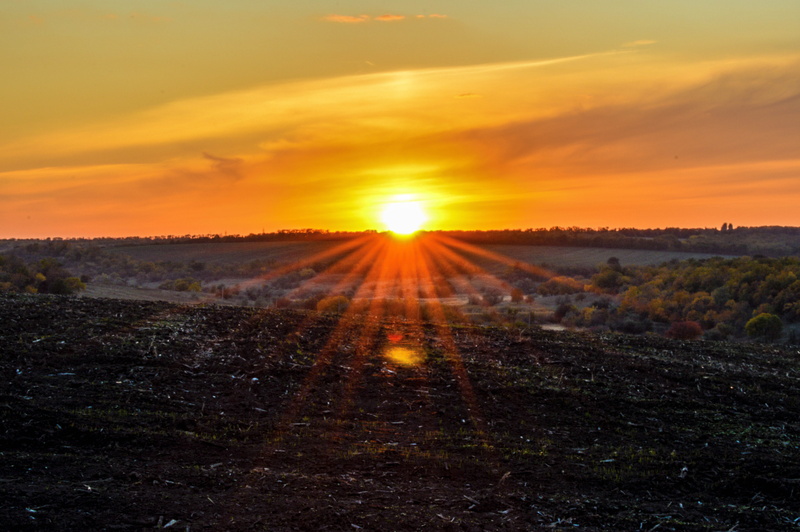 sun, tranquil scene, rays, field, beauty in nature, ukraine, bright, orange sky, rural scene, land, sunbeam, cloud - sky, sky, scenics - nature, landscape