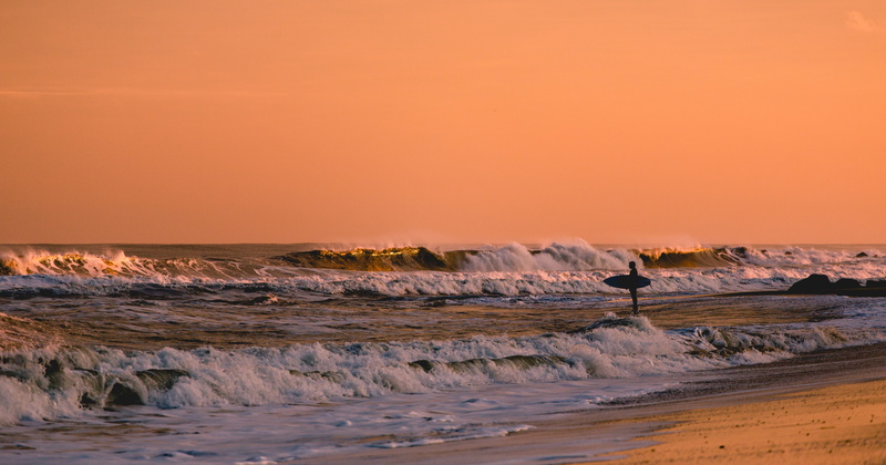 wave, animal wildlife, scenics - nature, orange color, nature, landscape, coastline, waves, land, no people, seagull, sunset, rock, power in nature, ocean