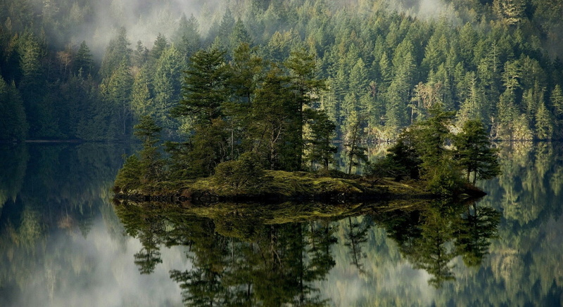 1080P, island, pine trees, lake, nature, reflection