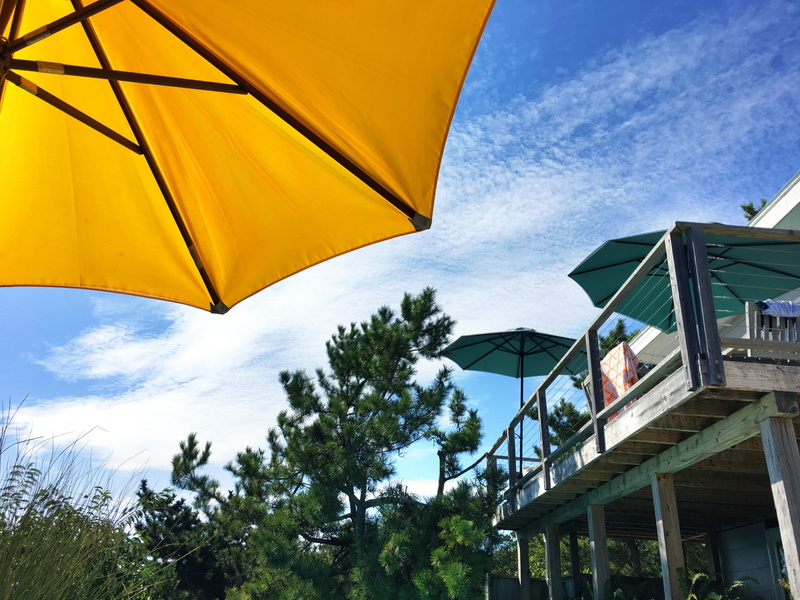 nature, yellow, sunshade, tree, no People, Pines, building exterior, summer, day, rain, umbrella, sunbathing, wet, pines, architecture, security, sky, low angle view