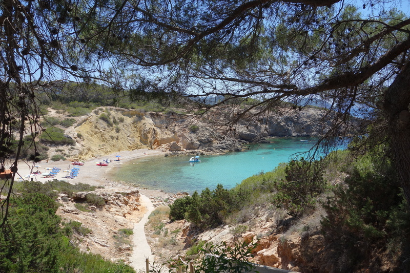 high angle view, tree, ocean, scenics - nature, tranquility, 5K, forest, beauty in nature, balearic, ibiza, incidental people, land, mediterranean, tranquil scene