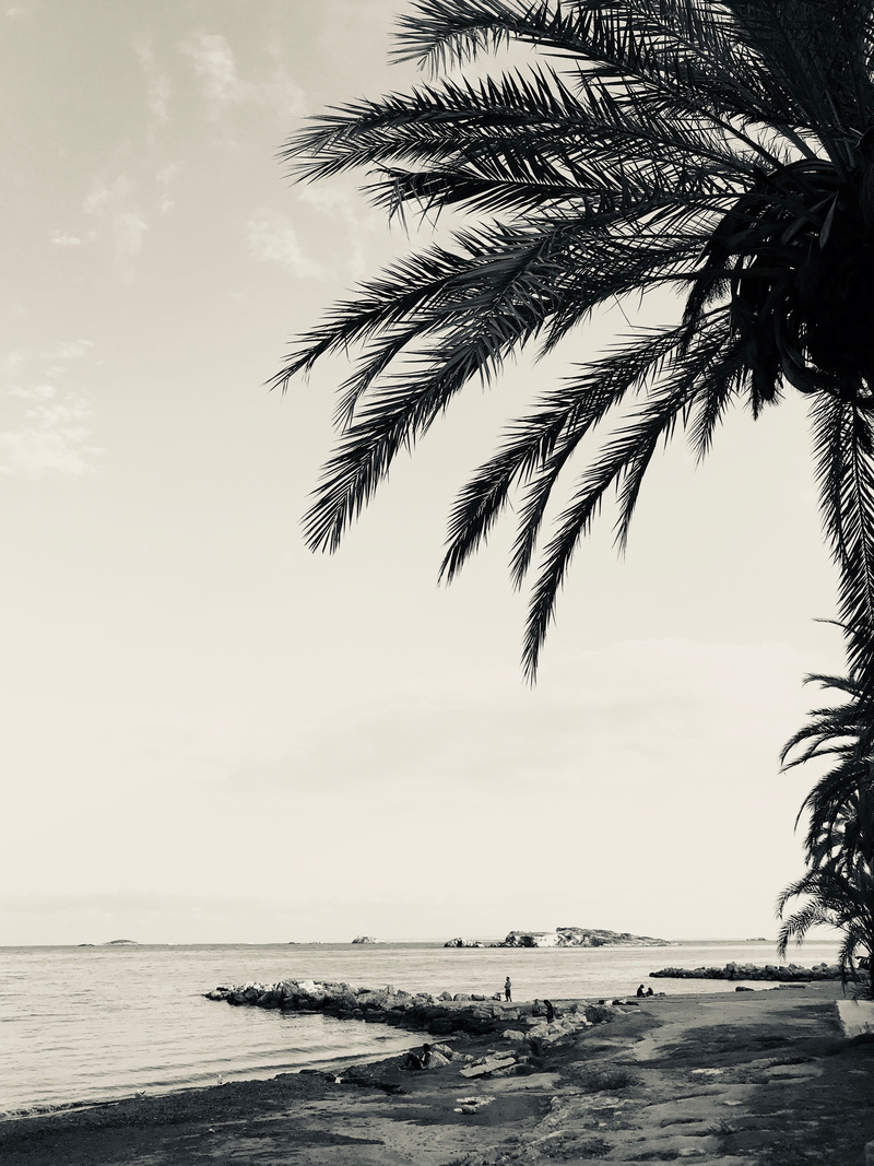 day, tranquility, palm tree, tree, horizon over water, beach, scenics - nature, horizon, plant, sky, outdoors, water, palm, nature, no people, 4K, tropical climate