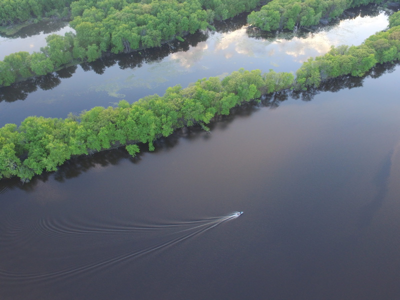 tree, drone, plant, tranquility, high angle view, cloud - sky, non-urban scene, united states, lake, reflection, 4K, nature, sky, beauty in nature, outdoors