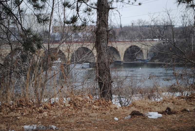 outdoors, minneapolis, arch bridge, stone arch bridge, landmark, tree, day, sky, urban, branch, landscape, downtown, bridge, scenic, water, mississippi river